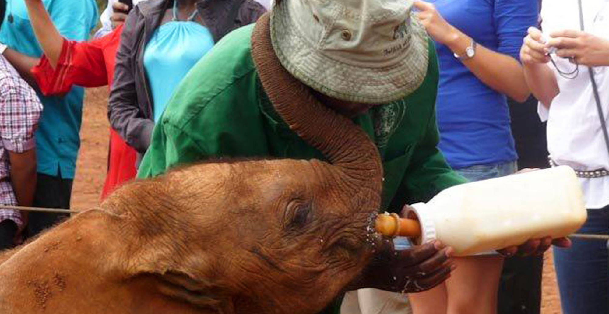 David Sheldrick Wildlife Trust near Hemingways Nairobi Hotel