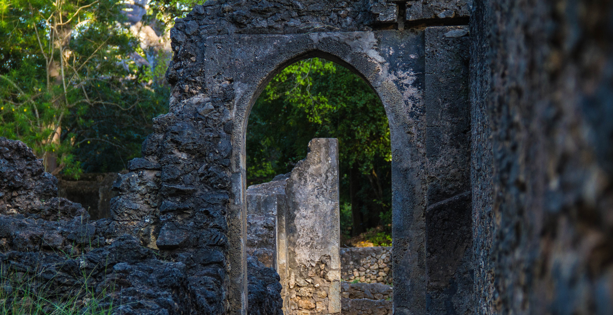 Explore Gede Ruins in Watamu