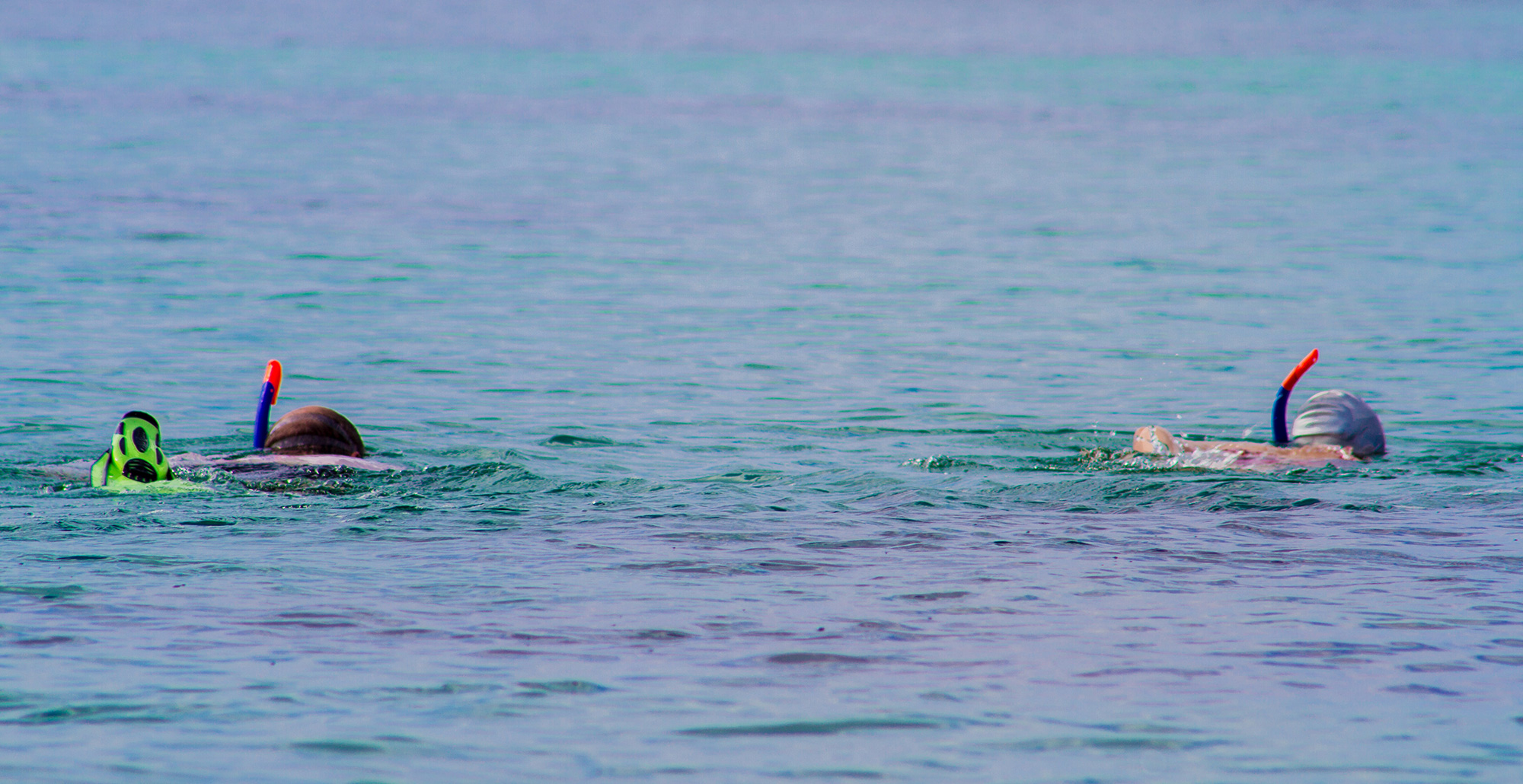 snorkeling in kenya