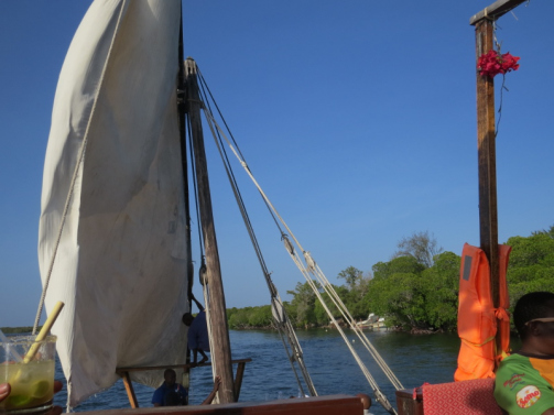 On the dhow sailing in Mida Creek 