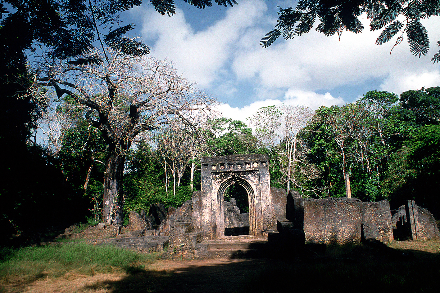 Discover the Ancient ruins of Gede at sunrise-Hemingways Watamu