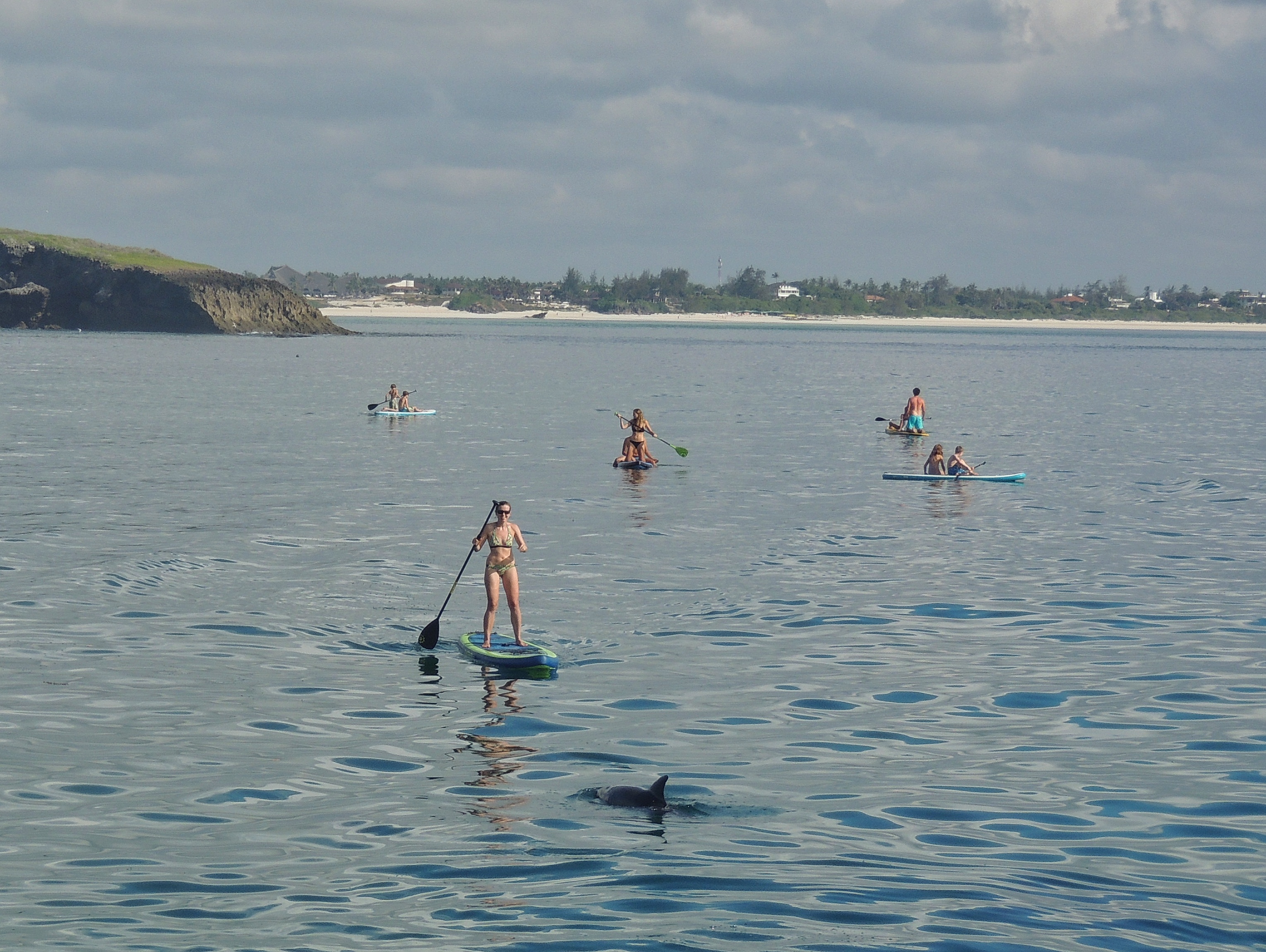 Stand up paddle boarding with dolphins