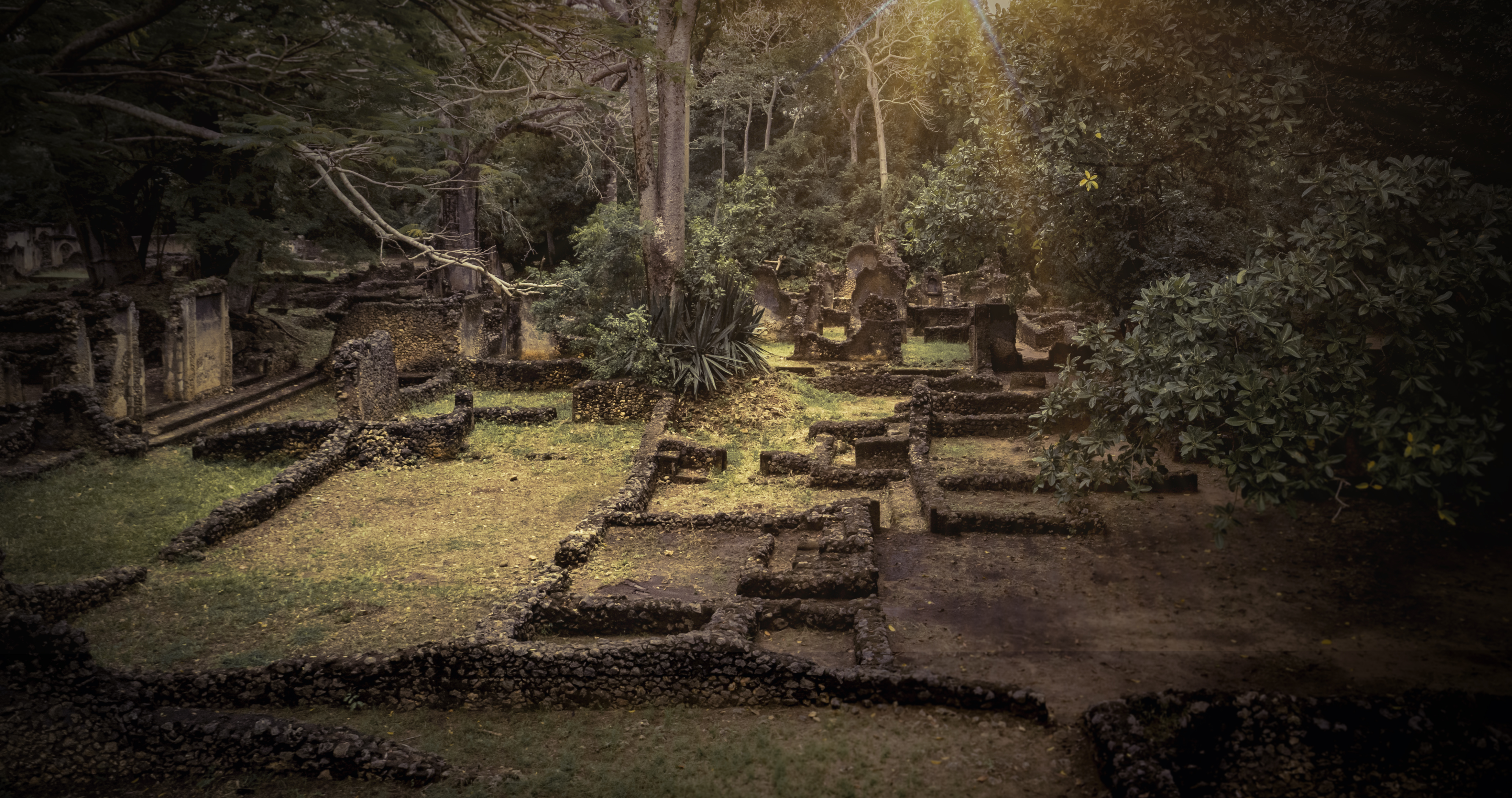 Explore Gede Ruins in Watamu