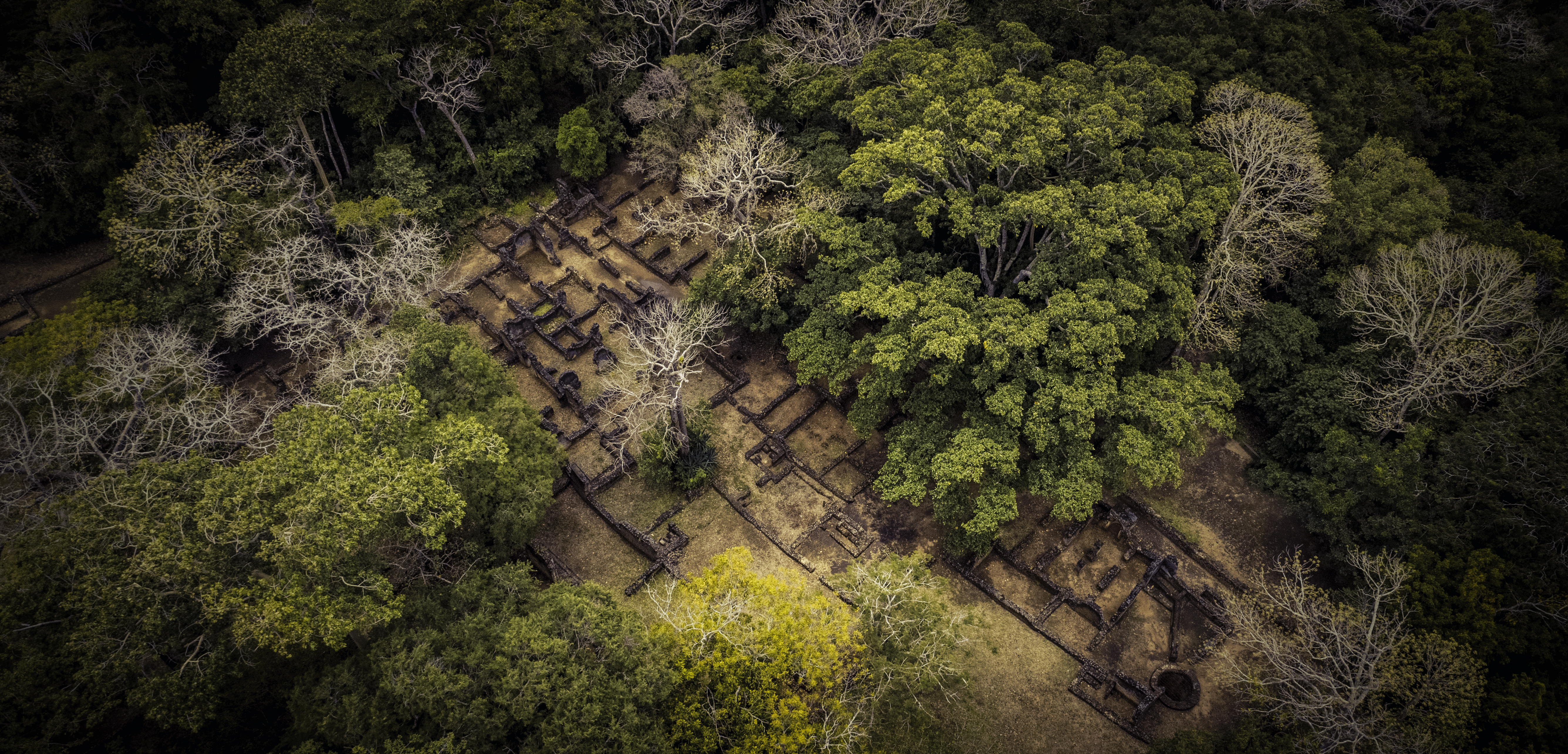 Explore Gede Ruins in Watamu