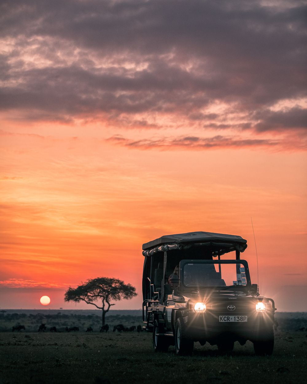 Best Masai Mara Camps for Safari in Kenya