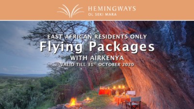 flying hemingways