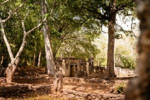 The Gede Ruins: Exploring the Ancient Swahili Settlement Near Hemingways Watamu