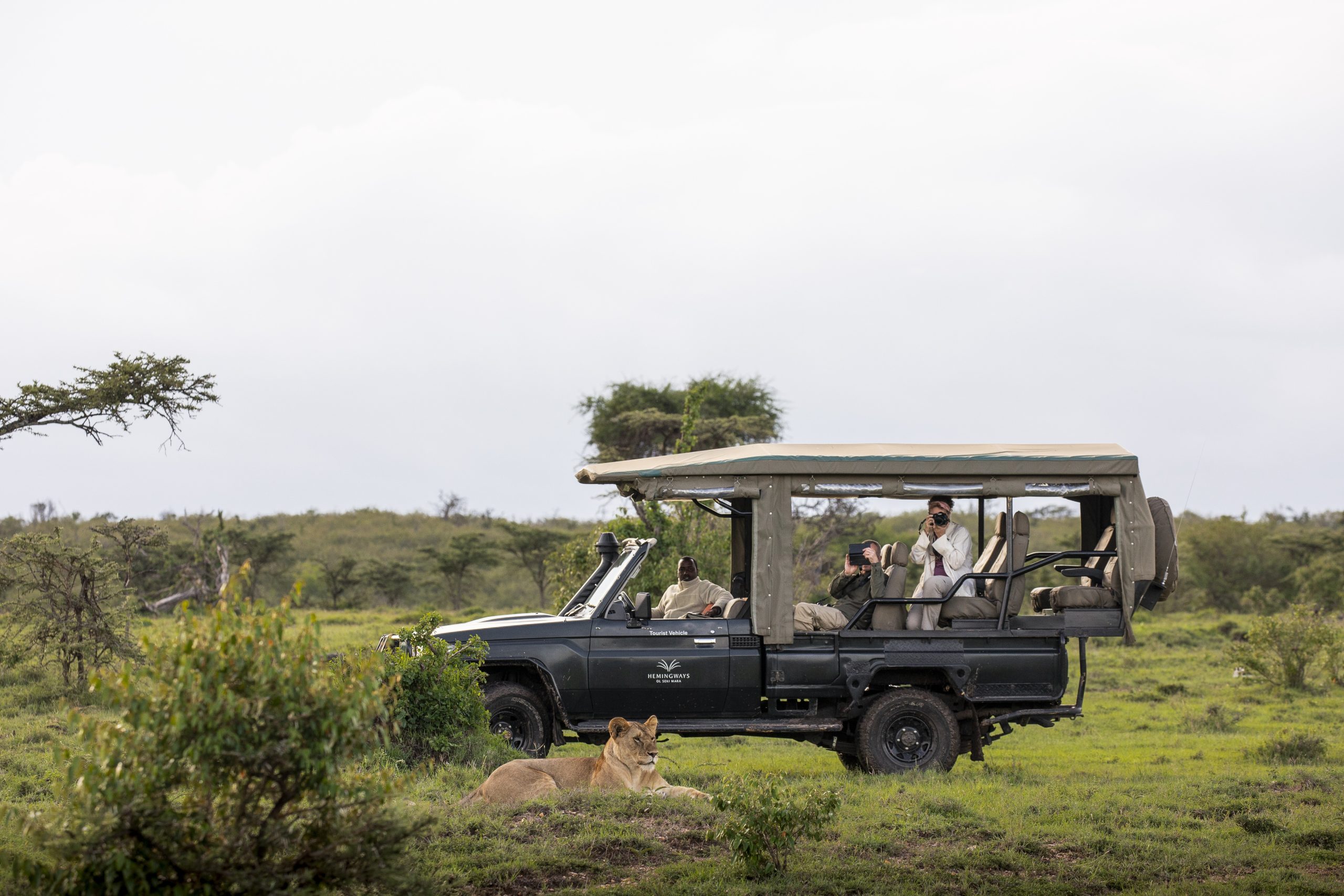 Safari and Wildlife (1)