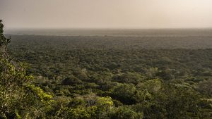 Discover Kenya's Arabuko Sokoke Forest