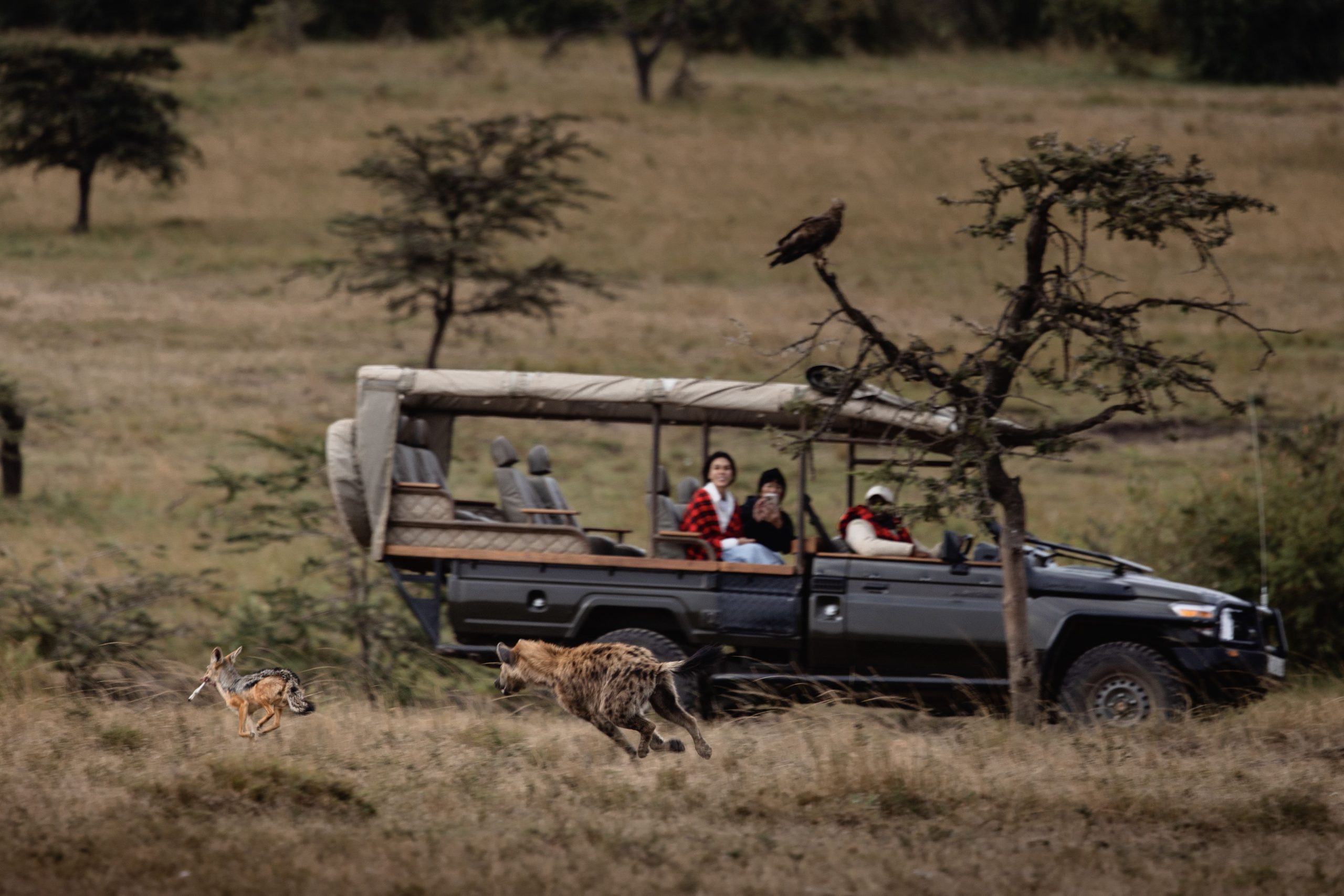 Game Drive 38 – 2025 TC (1)
