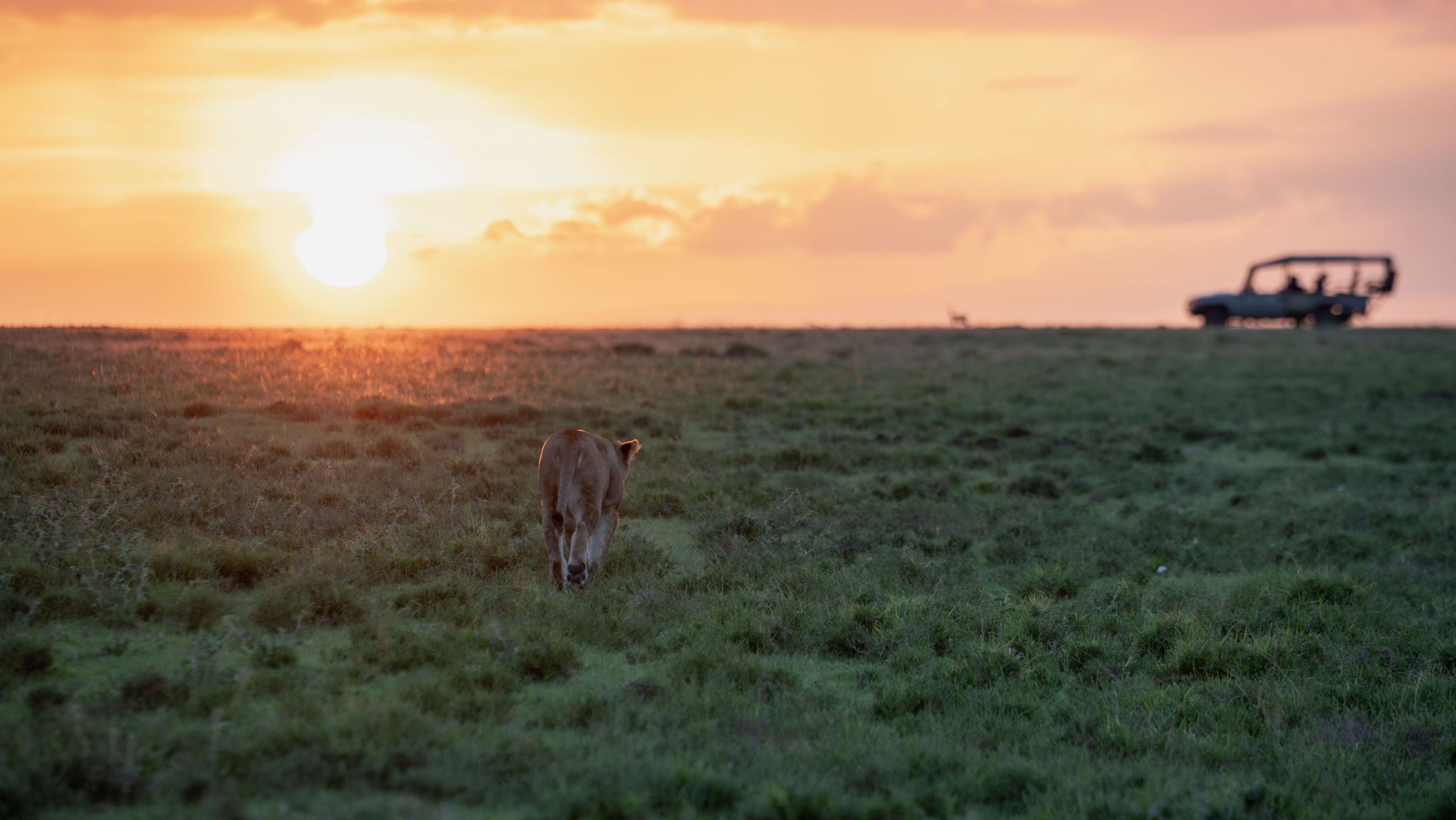Ol Seki Sunset 1