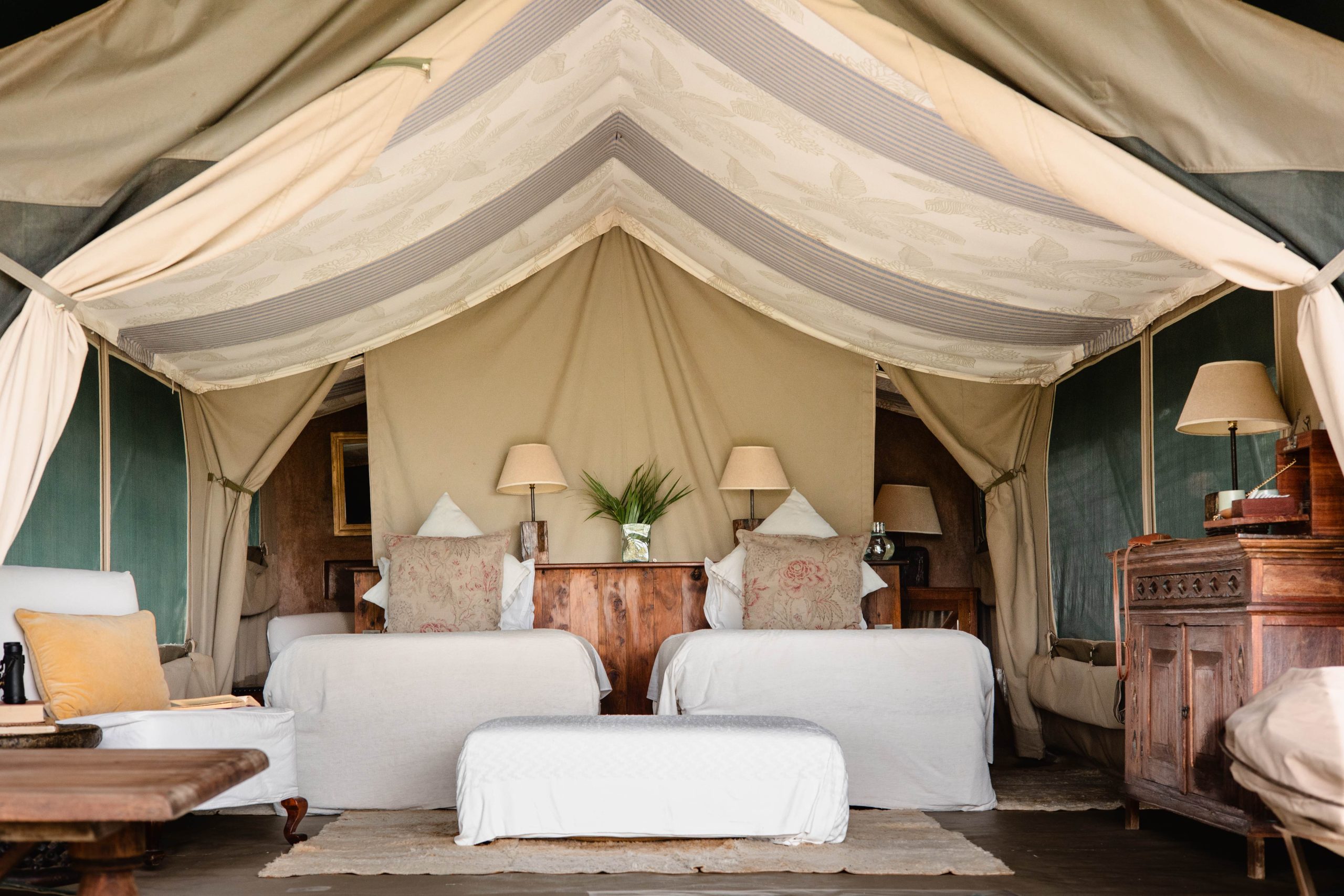 Tent Interior 1 – 2025 TC (1)