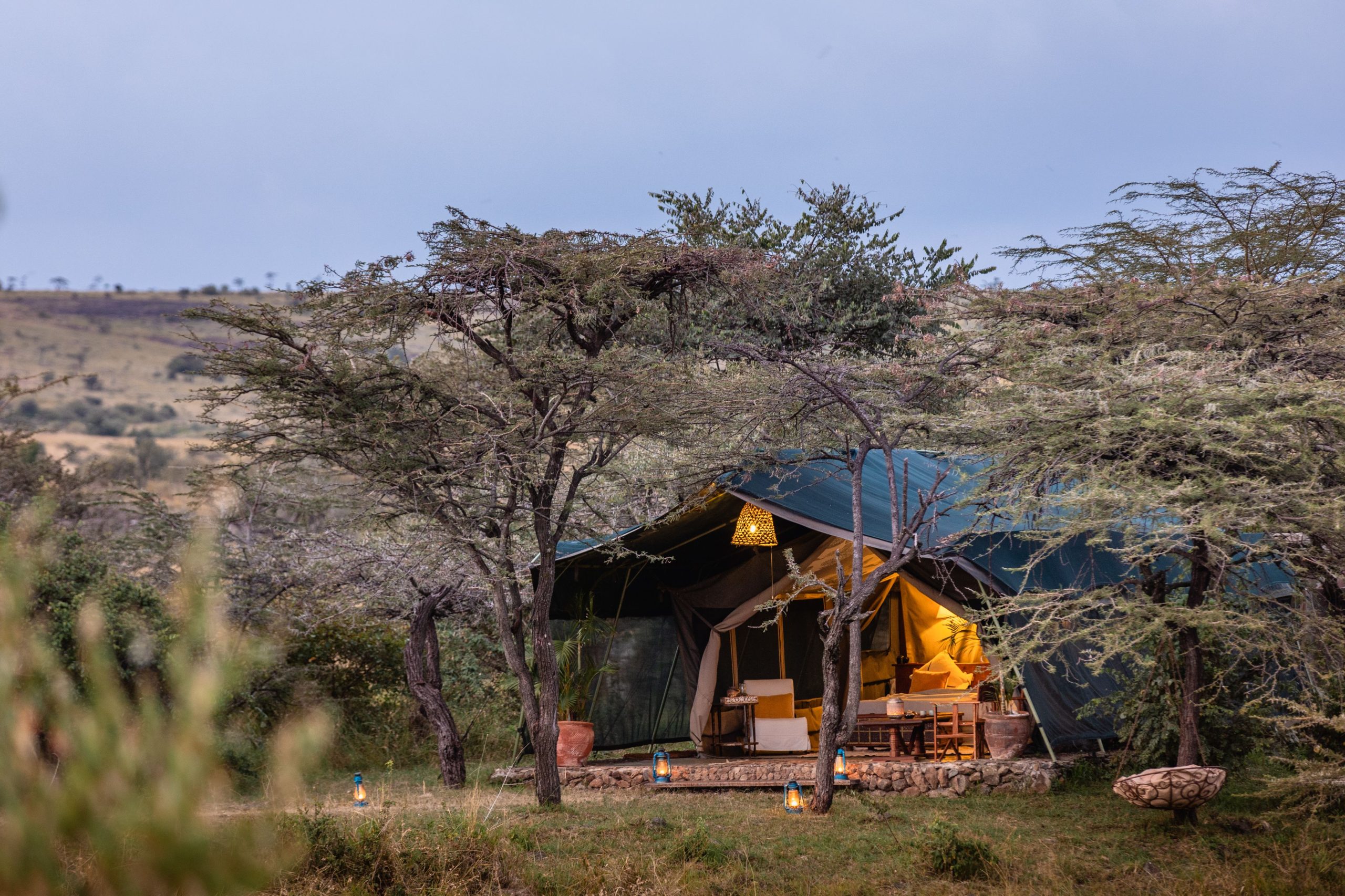 Tent exterior view 7 – 2025 TC