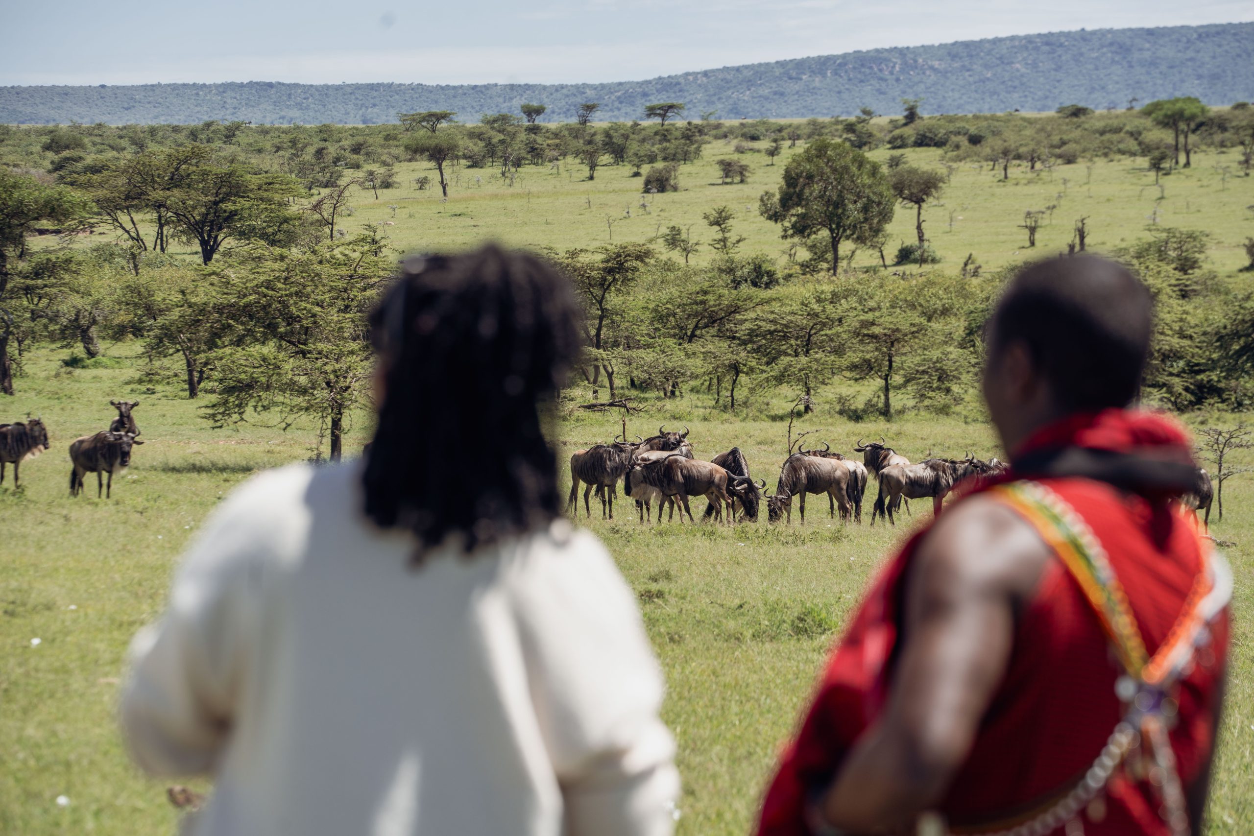Walking safari