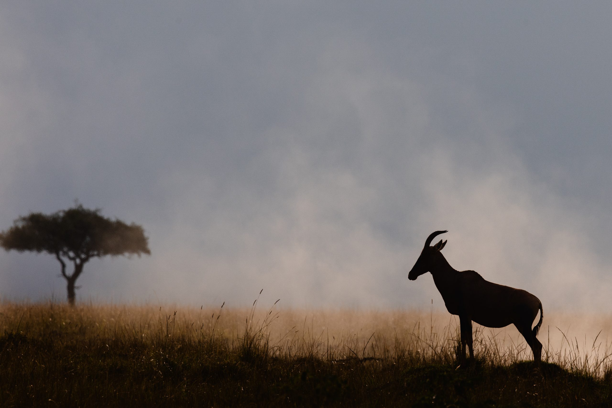 Game Drive 6 – 2025 TC