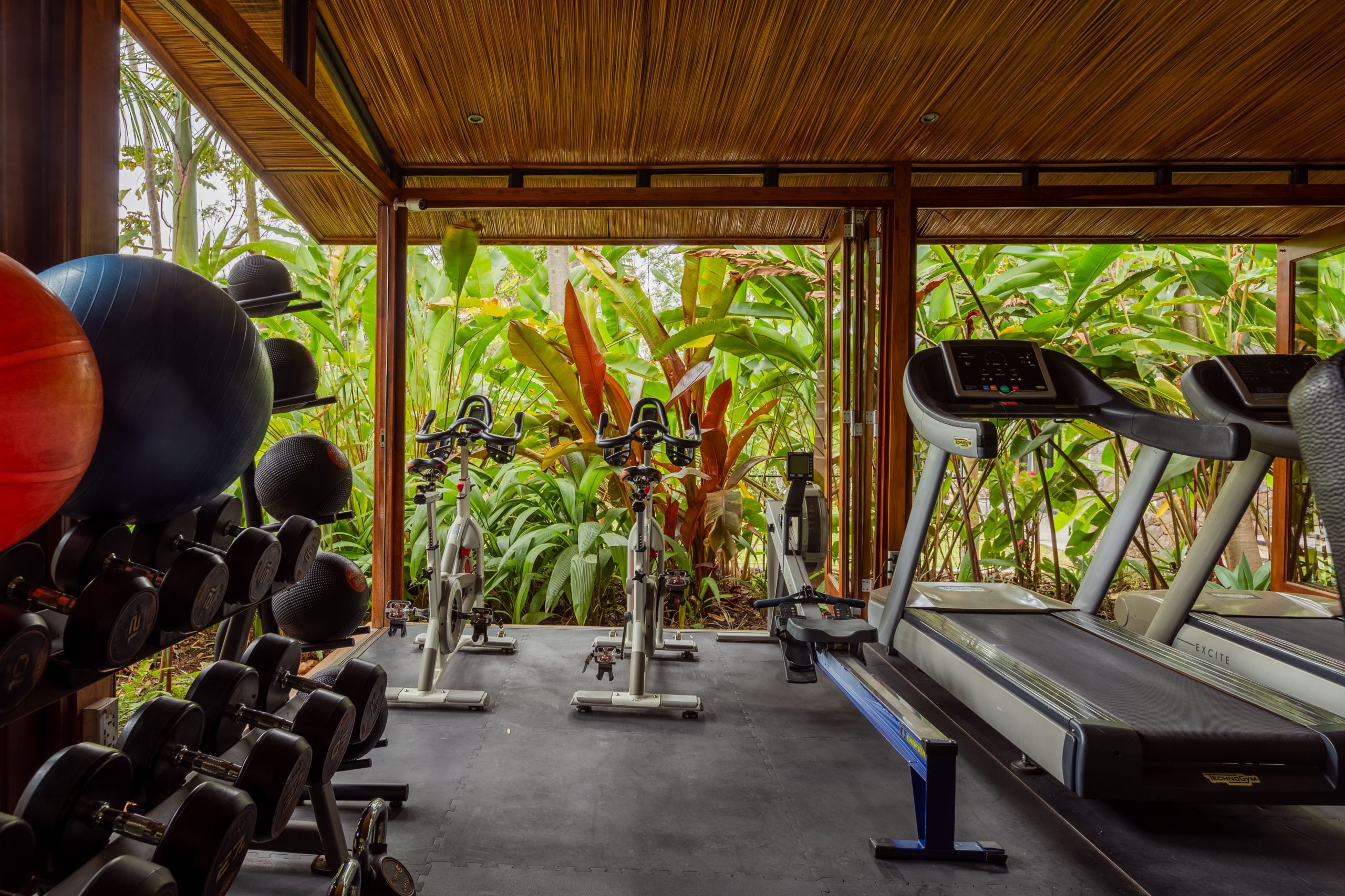 Gym – 6 TC 2025 (1)