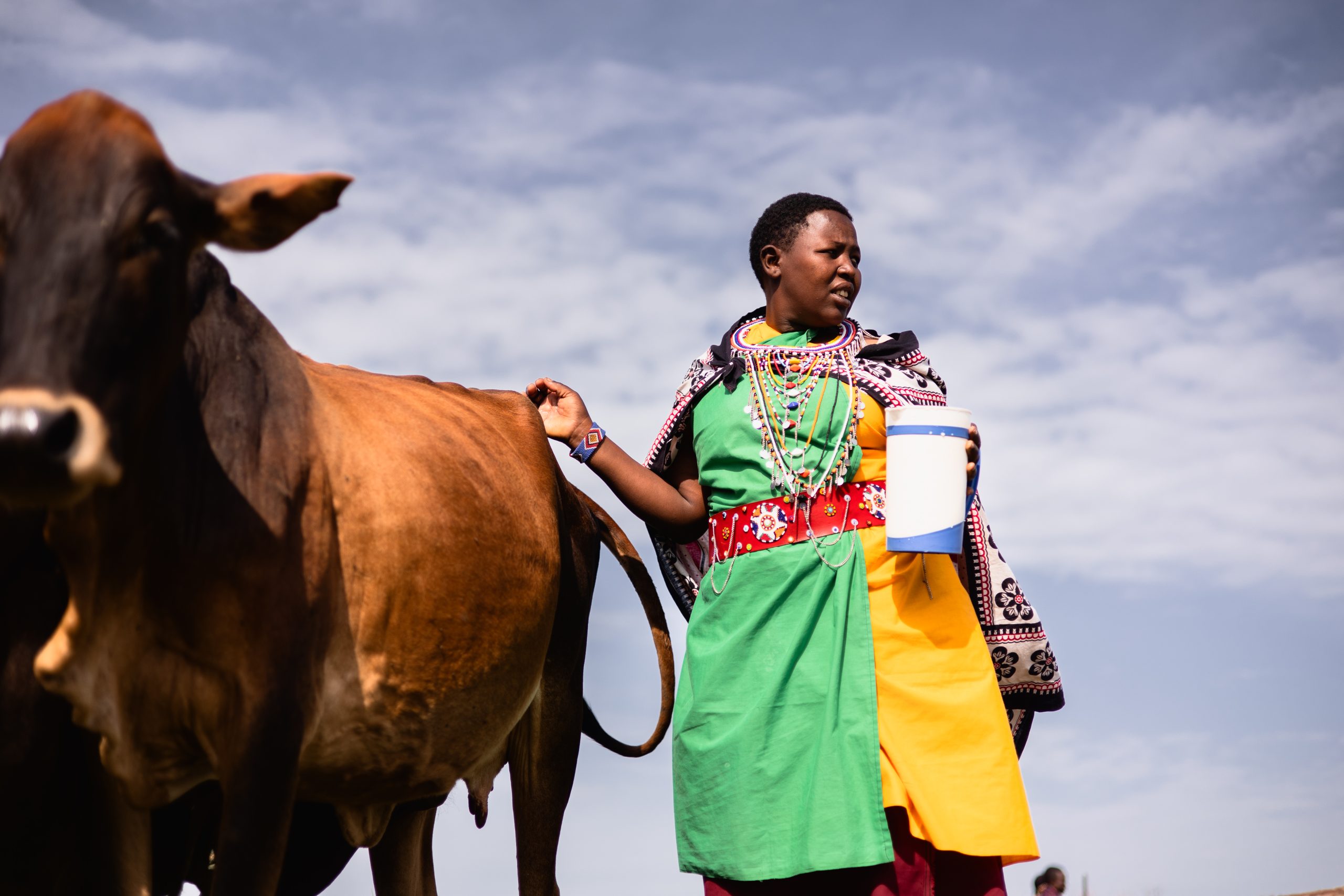 Maasai Village 25 – 2025 TC