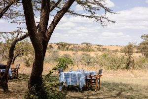 A Typical Day on Safari at Hemingways River Camp