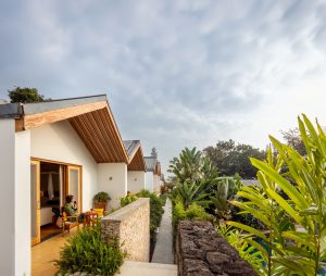 Akagera And Nyungwe: Rwandas Wild Wonders