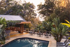 The Majestic Mountain Gorillas of Rwanda