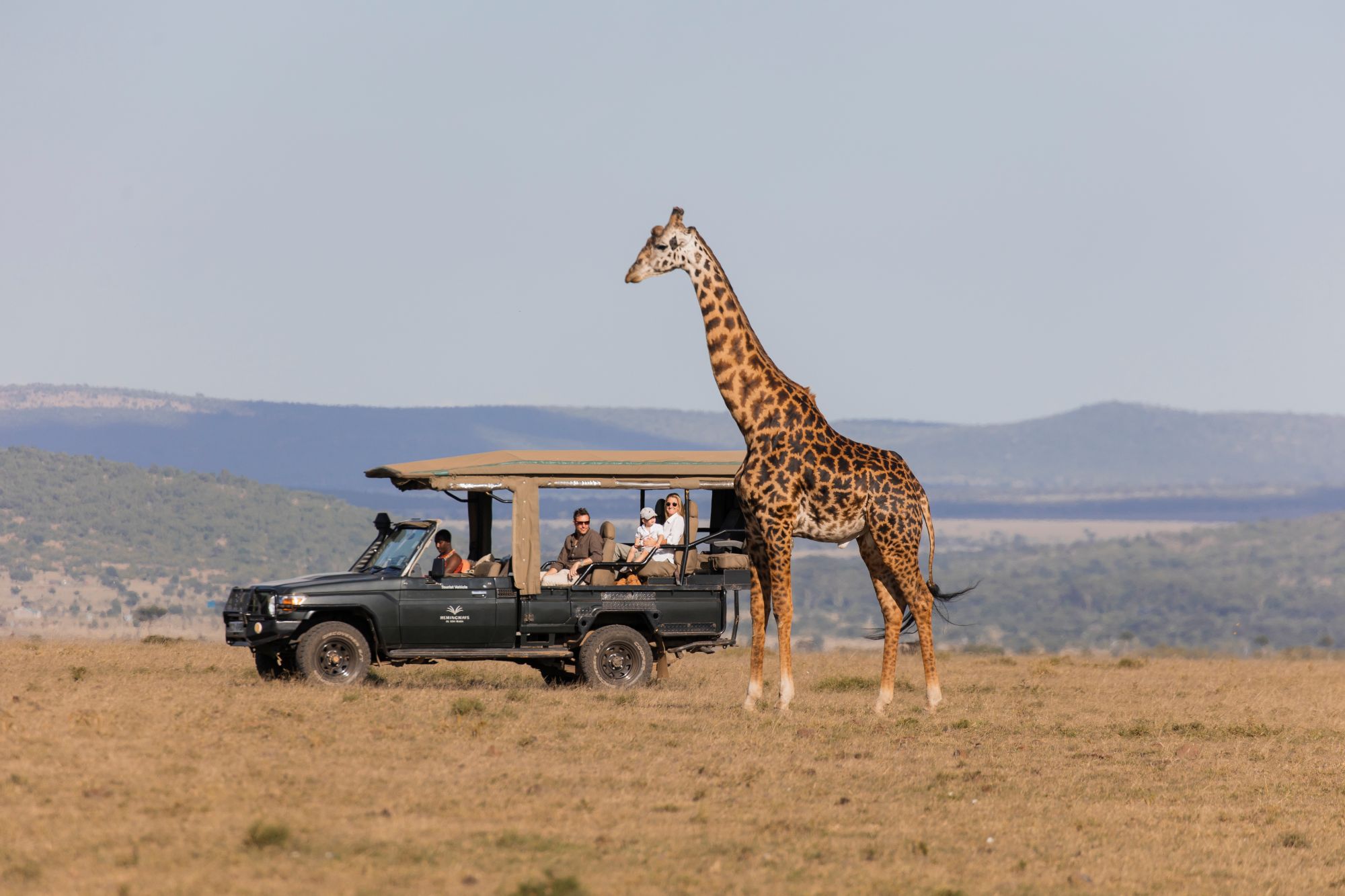 Safari and Wildlife 3 (1)