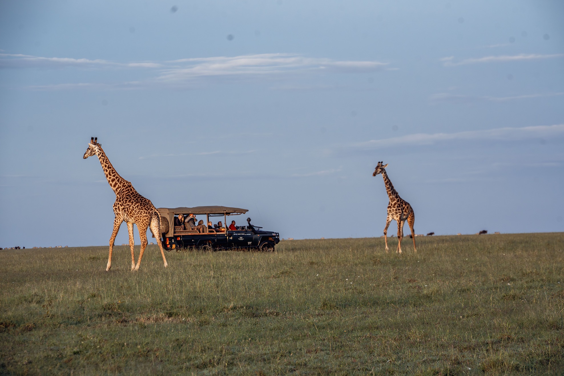 Game drive 3