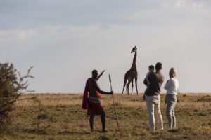 The Art of the ‘Slow Safari’