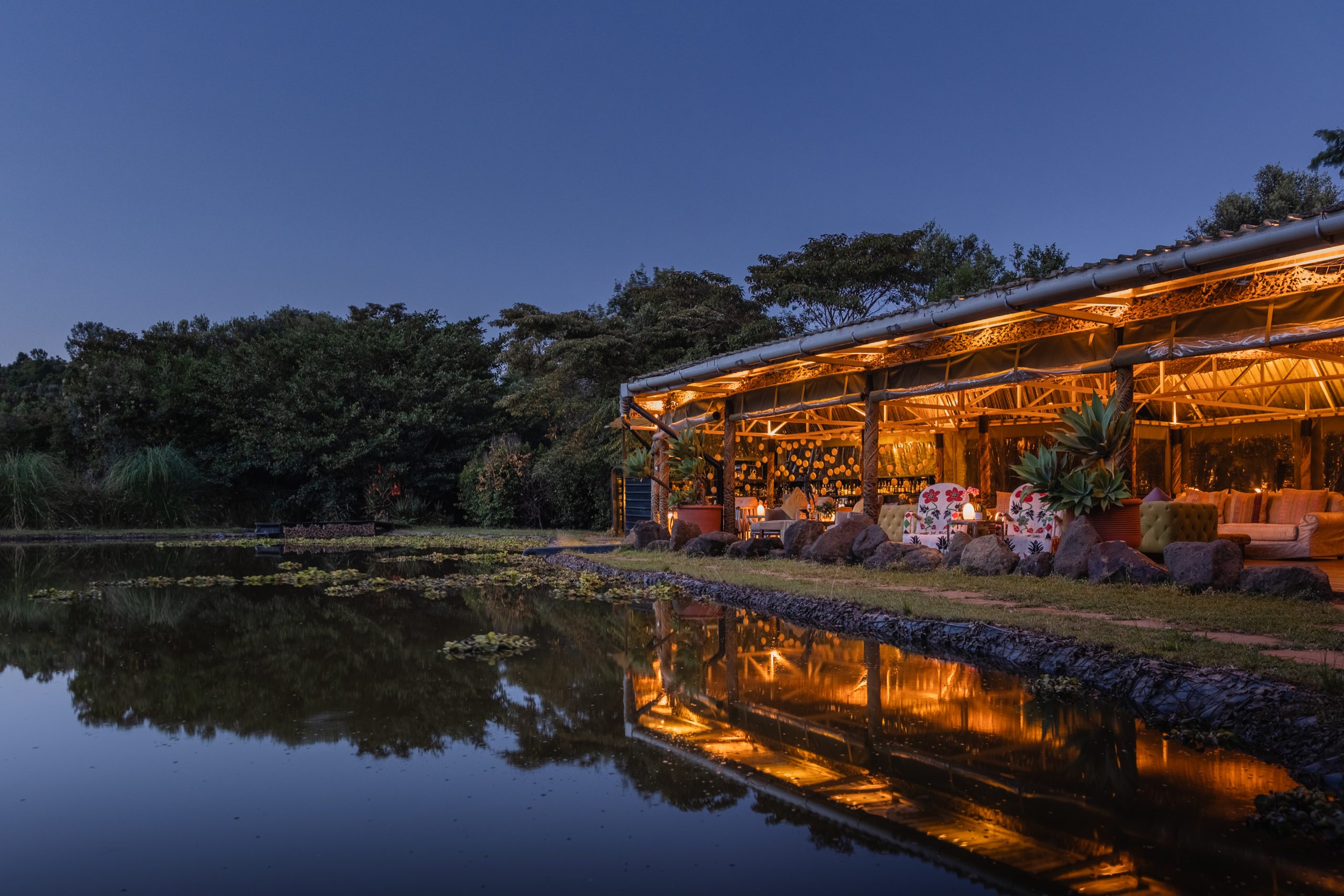 The deck and egg bar evening view 5 – March 2025 TC