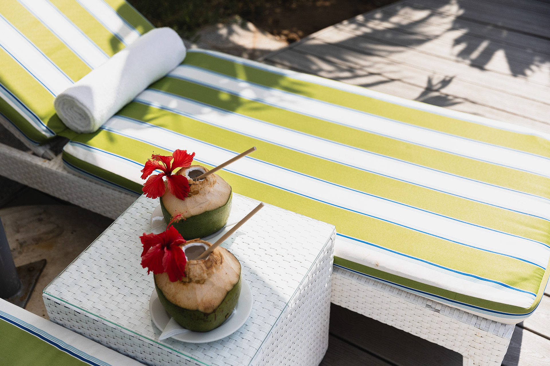 Quiet pool Lounger 2024 TC