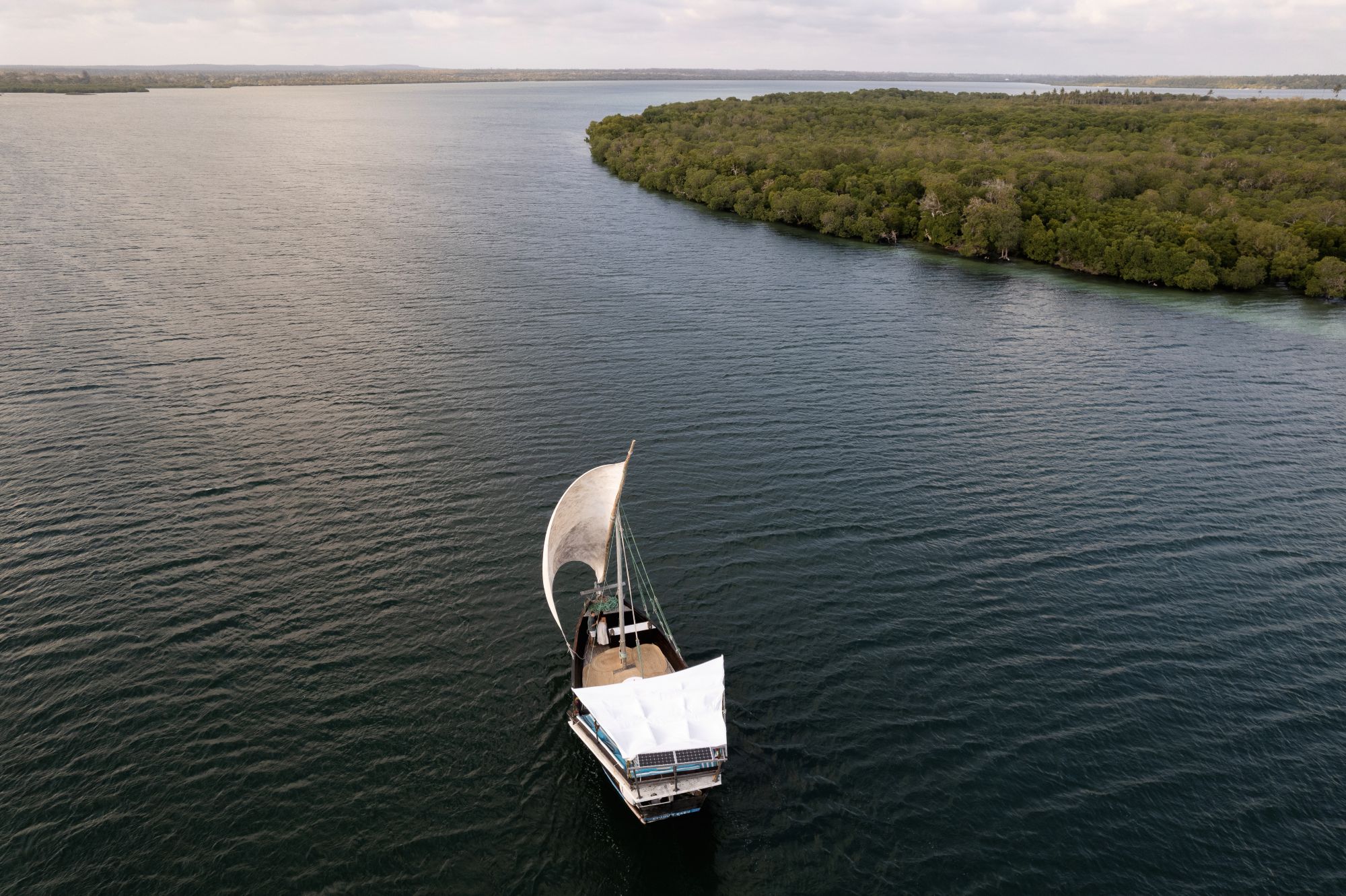 Sunset Dhow Cruise 4 (1)
