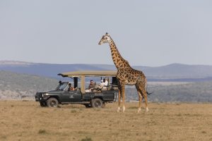 From Savannah To Shore: Building the Perfect East African Luxury Itinerary with Hemingways Collection